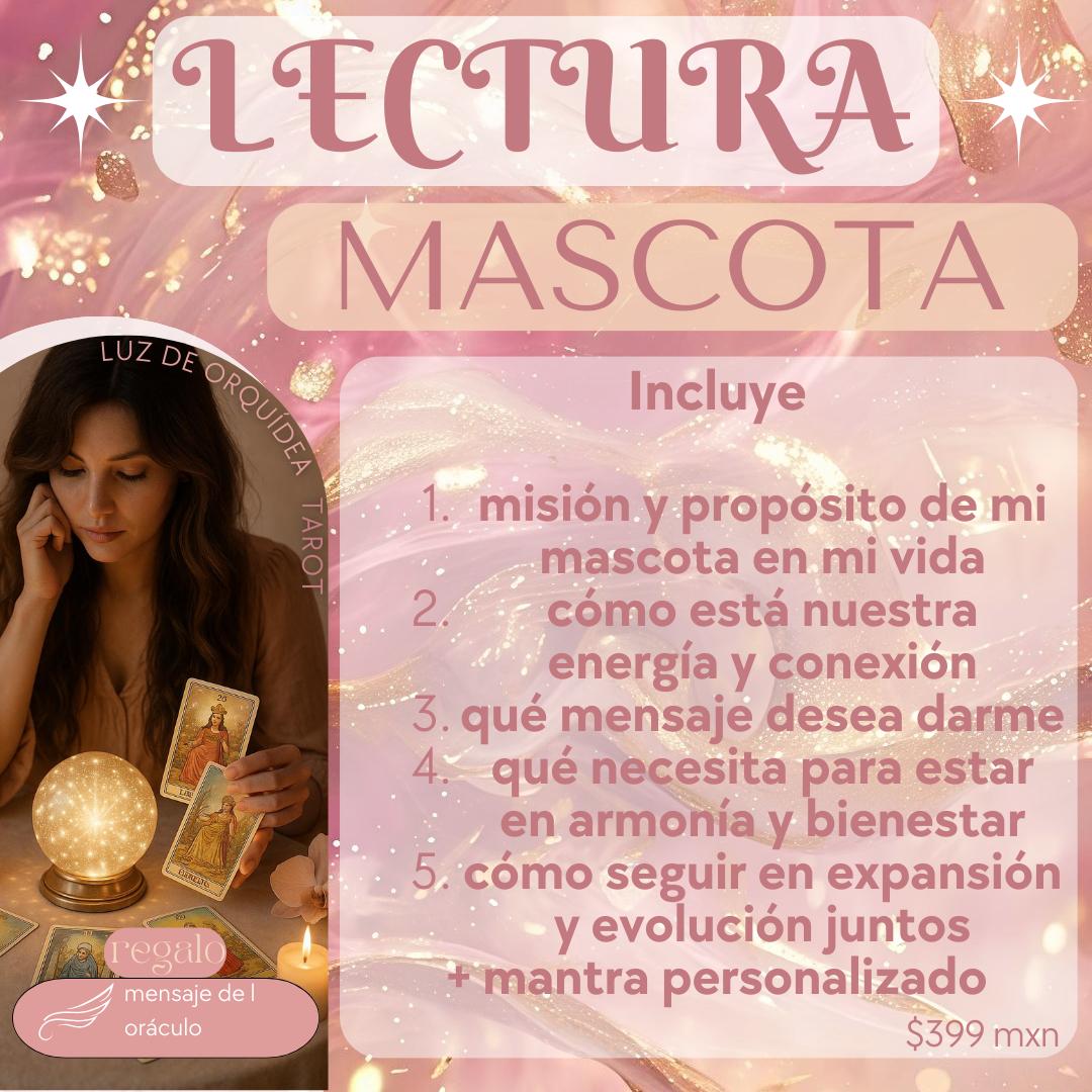 Lectura Mascotas 🐾